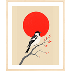 Scarlet Sun Bird